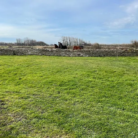Au Boulevard Des Dunes Saint-Marcouf